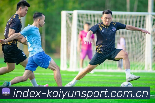 开云Kaiyun全站App